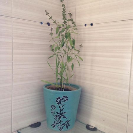 نيودلهي Parkash Bed And Breakfast المظهر الخارجي الصورة